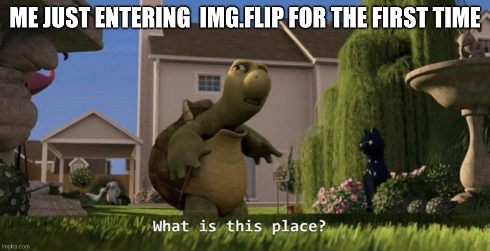 What is this place | ME JUST ENTERING  IMG.FLIP FOR THE FIRST TIME | image tagged in what is this place | made w/ Imgflip meme maker