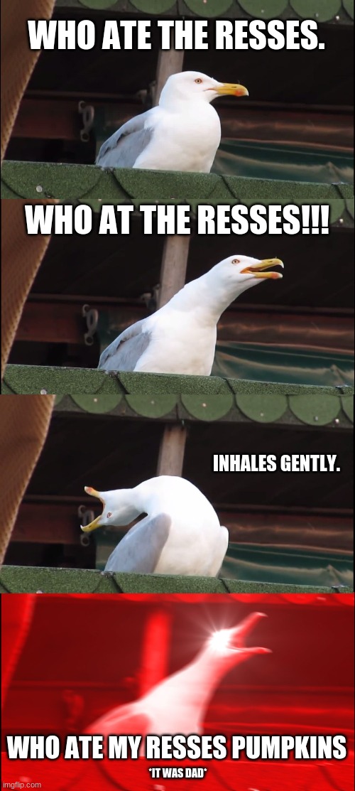 My mom when sombody eats all her resses pumpkins | WHO ATE THE RESSES. WHO AT THE RESSES!!! INHALES GENTLY. WHO ATE MY RESSES PUMPKINS; *IT WAS DAD* | image tagged in memes,inhaling seagull | made w/ Imgflip meme maker