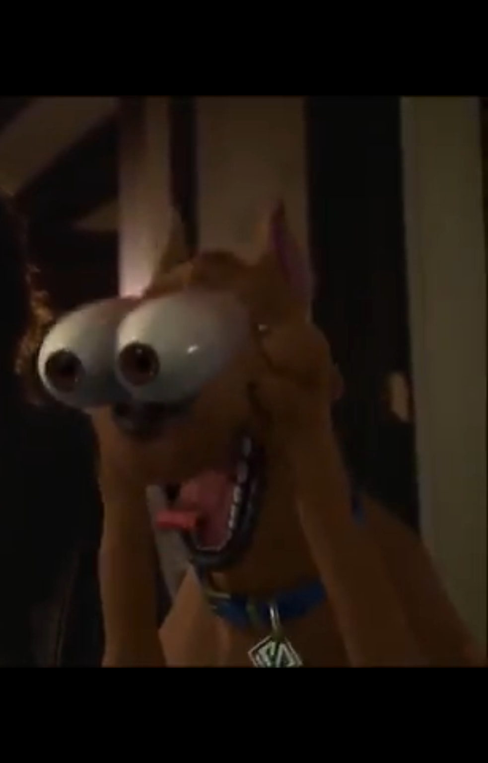 Scooby Doo Wtf eyes Blank Meme Template