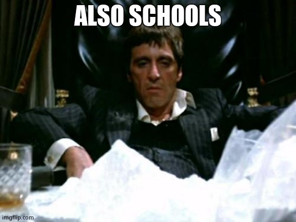 Scarface Cocaine | ALSO SCHOOLS | image tagged in scarface cocaine | made w/ Imgflip meme maker