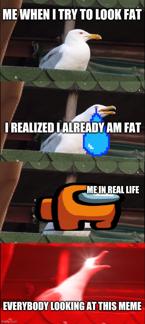 Inhaling Seagull Meme |  ME WHEN I TRY TO LOOK FAT; I REALIZED I ALREADY AM FAT; ME IN REAL LIFE; EVERYBODY LOOKING AT THIS MEME | image tagged in memes,inhaling seagull | made w/ Imgflip meme maker