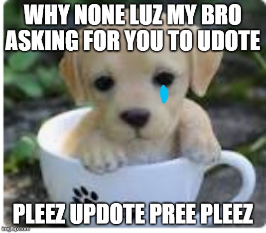 do you luve me? | WHY NONE LUZ MY BRO
ASKING FOR YOU TO UDOTE; PLEEZ UPDOTE PREE PLEEZ | image tagged in do you luve me | made w/ Imgflip meme maker