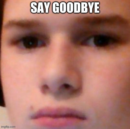 because yes | SAY GOODBYE | image tagged in nacl's sad face | made w/ Imgflip meme maker