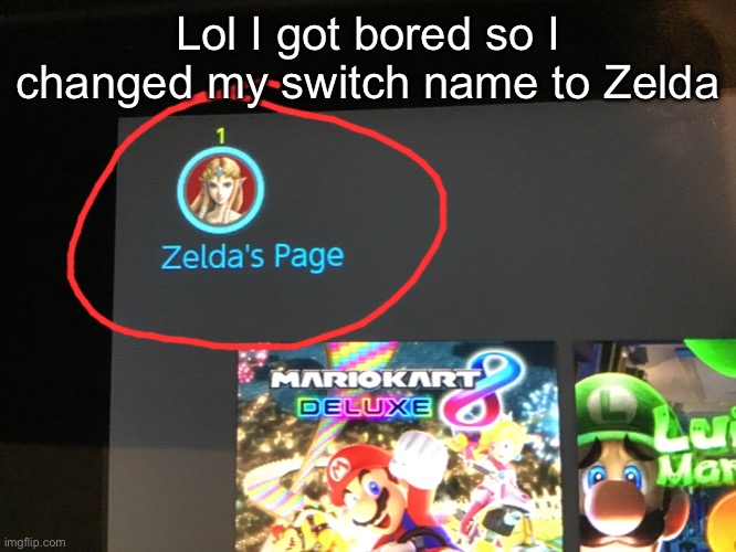 *wheeze* | Lol I got bored so I changed my switch name to Zelda | made w/ Imgflip meme maker