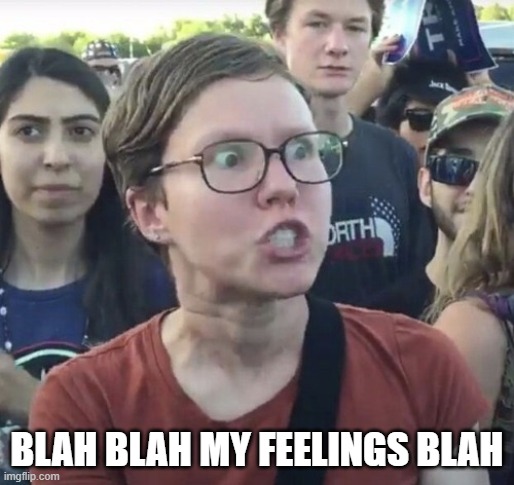 Triggered feminist | BLAH BLAH MY FEELINGS BLAH | image tagged in triggered feminist | made w/ Imgflip meme maker