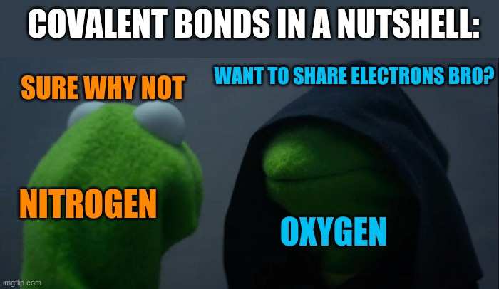 covalent bonds do be like dat | COVALENT BONDS IN A NUTSHELL:; WANT TO SHARE ELECTRONS BRO? SURE WHY NOT; NITROGEN; OXYGEN | image tagged in memes,evil kermit | made w/ Imgflip meme maker