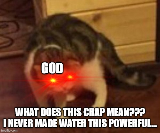 Loading cat | GOD WHAT DOES THIS CRAP MEAN??? I NEVER MADE WATER THIS POWERFUL... | image tagged in loading cat | made w/ Imgflip meme maker