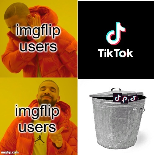 tiktrashh bi*ch | image tagged in trash | made w/ Imgflip meme maker