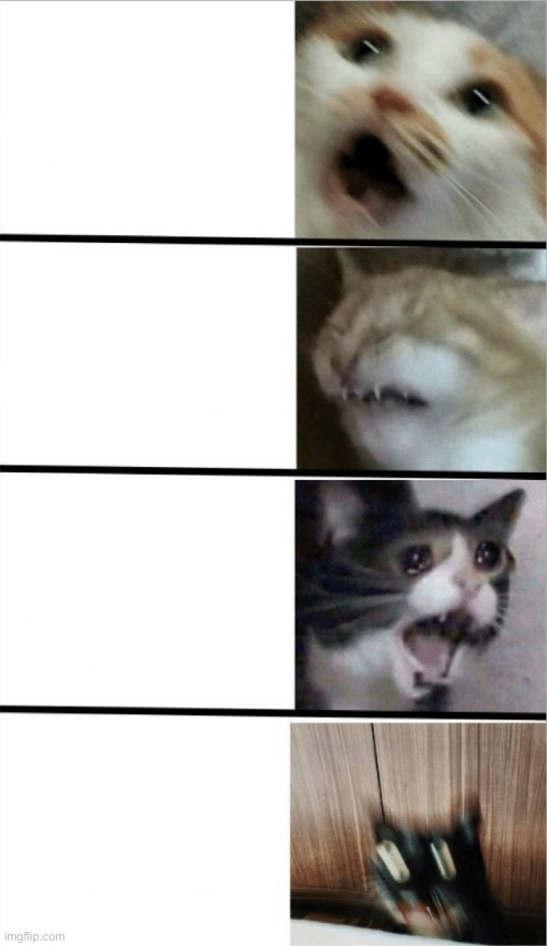 High Quality Scaredy Cat Blank Meme Template