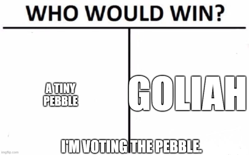 Who Would Win? | GOLIAH; A TINY PEBBLE; I'M VOTING THE PEBBLE. | image tagged in memes,who would win | made w/ Imgflip meme maker