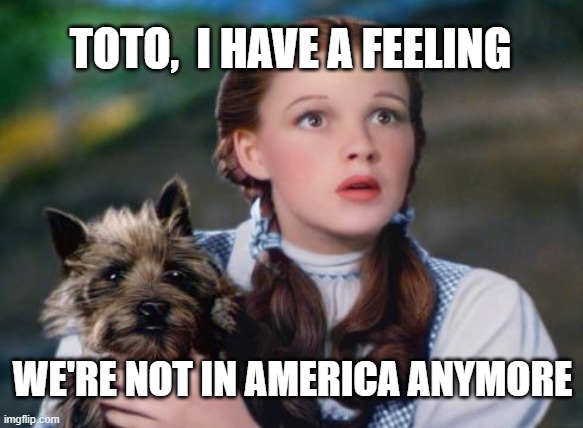 Toto Wizard of Oz | TOTO,  I HAVE A FEELING; WE'RE NOT IN AMERICA ANYMORE | image tagged in toto wizard of oz | made w/ Imgflip meme maker