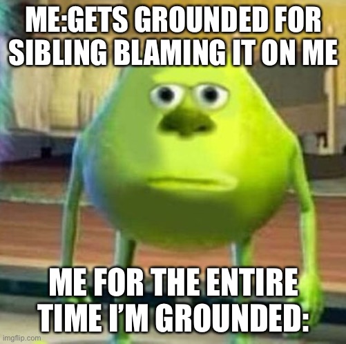 It tru | ME:GETS GROUNDED FOR SIBLING BLAMING IT ON ME; ME FOR THE ENTIRE TIME I’M GROUNDED: | image tagged in mike wasowski sully face swap | made w/ Imgflip meme maker