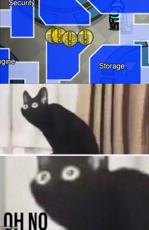 sorry if this is a repost | image tagged in electrical task,oh no cat | made w/ Imgflip meme maker