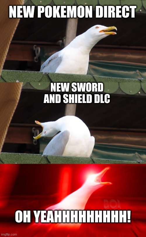 Inhaling seagull | NEW POKEMON DIRECT; NEW SWORD AND SHIELD DLC; OH YEAHHHHHHHHH! | image tagged in inhaling seagull | made w/ Imgflip meme maker