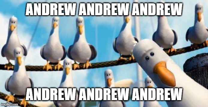 Nemo Birds | ANDREW ANDREW ANDREW; ANDREW ANDREW ANDREW | image tagged in nemo birds | made w/ Imgflip meme maker
