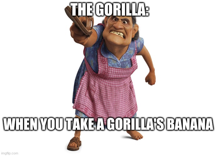 Abuelita gorilla | THE GORILLA:; WHEN YOU TAKE A GORILLA'S BANANA | image tagged in coco | made w/ Imgflip meme maker