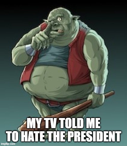 Troll hates president | MY TV TOLD ME TO HATE THE PRESIDENT | image tagged in troll,tv,not my president | made w/ Imgflip meme maker