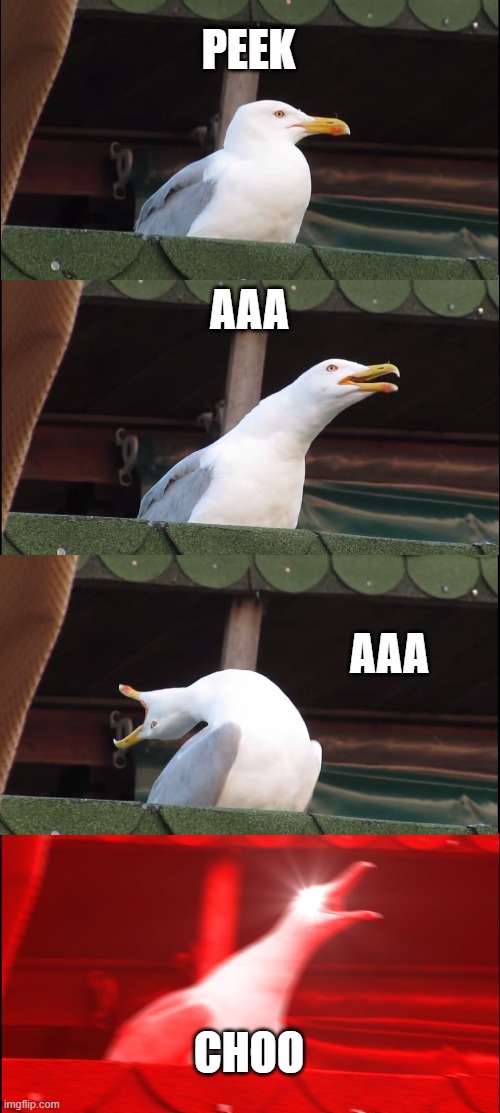 Inhaling Seagull Meme | PEEK; AAA; AAA; CHOO | image tagged in memes,inhaling seagull,sneeze,aaa | made w/ Imgflip meme maker