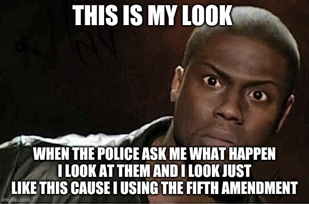 fifth amendment | THIS IS MY LOOK; WHEN THE POLICE ASK ME WHAT HAPPEN I LOOK AT THEM AND I LOOK JUST LIKE THIS CAUSE I USING THE FIFTH AMENDMENT | image tagged in memes,kevin hart | made w/ Imgflip meme maker
