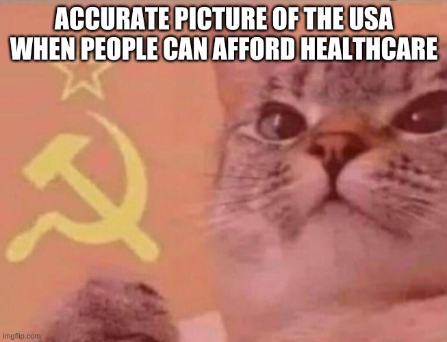 libturds be like: | ACCURATE PICTURE OF THE USA WHEN PEOPLE CAN AFFORD HEALTHCARE | image tagged in communist cat,libtard,communism,healthcare | made w/ Imgflip meme maker