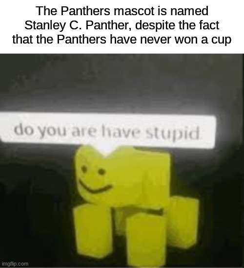 do you are have stupid |  The Panthers mascot is named Stanley C. Panther, despite the fact that the Panthers have never won a cup | image tagged in do you are have stupid | made w/ Imgflip meme maker