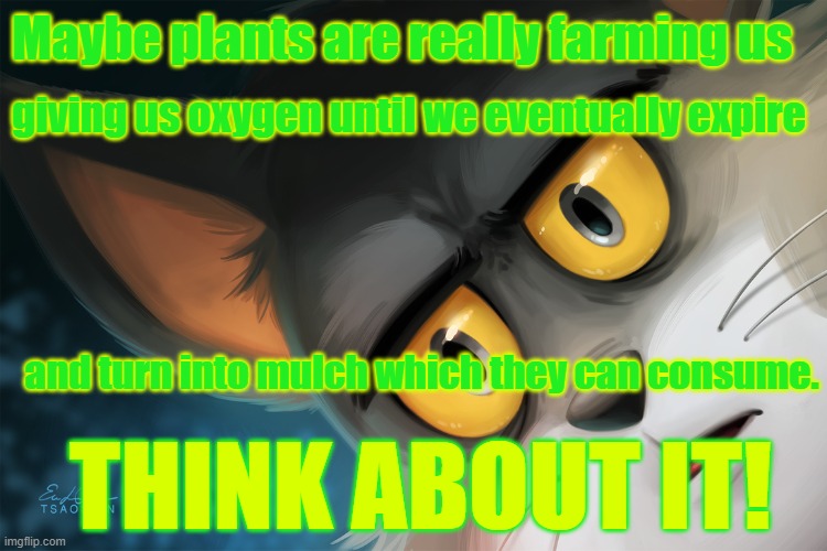 Are Plants Really Beneficial? (STM #8) | Maybe plants are really farming us; giving us oxygen until we eventually expire; and turn into mulch which they can consume. THINK ABOUT IT! | image tagged in unsettled tom stylized | made w/ Imgflip meme maker