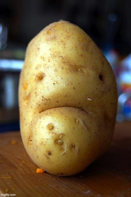https://imgflip.com/i/4m94hk | image tagged in sad potato | made w/ Imgflip meme maker