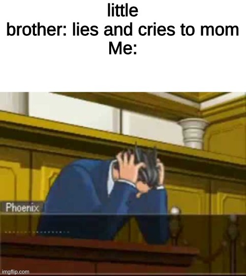 The truth (ACE ATTORNEY EDITION) | image tagged in ace attorney | made w/ Imgflip meme maker