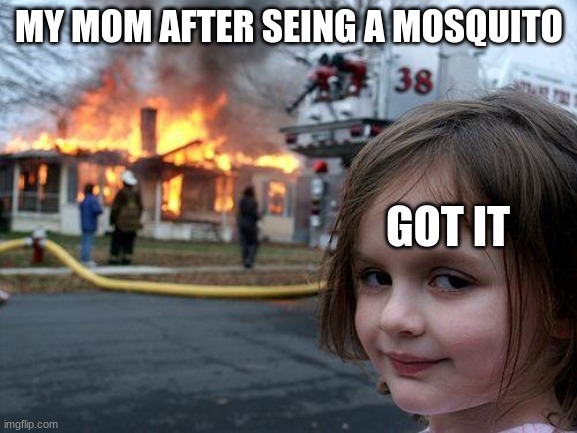 Disaster Girl | MY MOM AFTER SEING A MOSQUITO; GOT IT | image tagged in memes,disaster girl | made w/ Imgflip meme maker