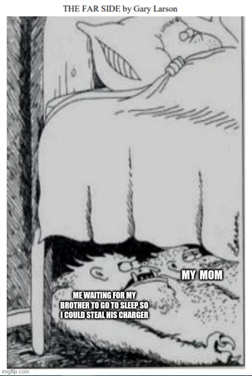 Charger | MY  MOM; ME WAITING FOR MY BROTHER TO GO TO SLEEP SO I COULD STEAL HIS CHARGER | image tagged in mom | made w/ Imgflip meme maker