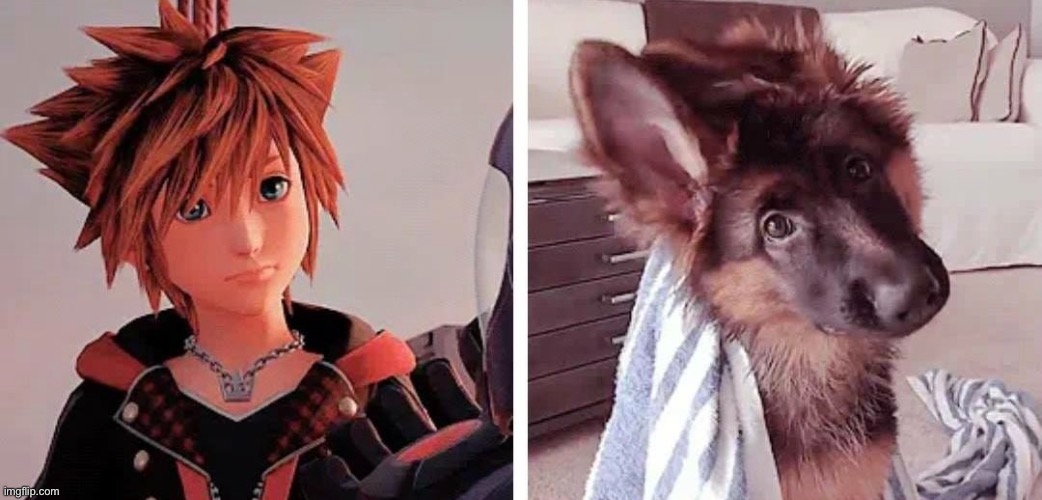 Just gonna leave this here | image tagged in kingdom hearts | made w/ Imgflip meme maker