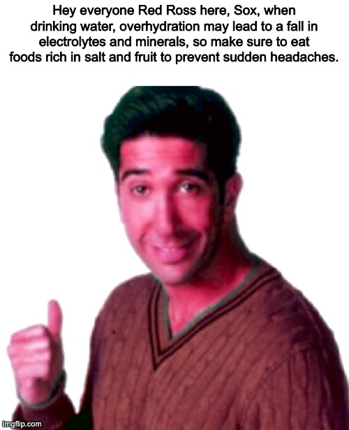 Red Ross | Hey everyone Red Ross here, Sox, when drinking water, overhydration may lead to a fall in electrolytes and minerals, so make sure to eat foods rich in salt and fruit to prevent sudden headaches. | image tagged in red ross | made w/ Imgflip meme maker