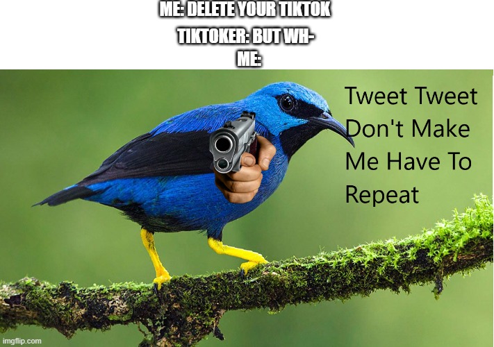 Tweet Tweet Don't Make Me Have To Repeat TikToker (custom template) | ME: DELETE YOUR TIKTOK; TIKTOKER: BUT WH-; ME: | image tagged in tweet tweet don't make me have to repeat | made w/ Imgflip meme maker