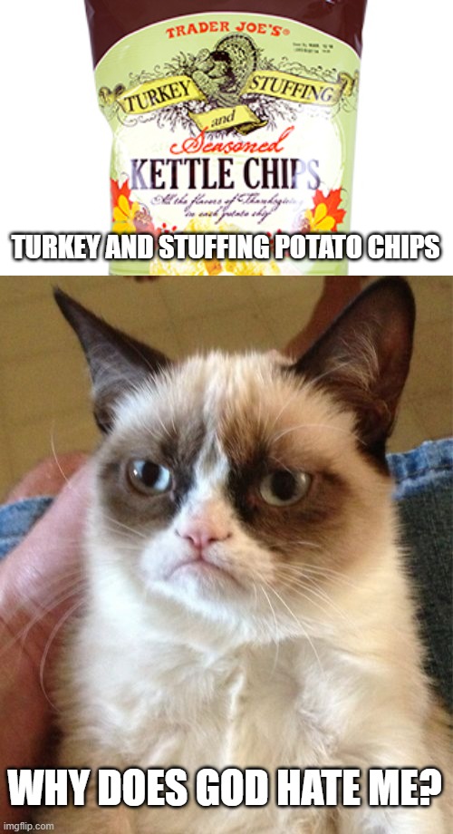 If I want chips I'll have chips. If I want turkey and stuffing I must be pregnant! | TURKEY AND STUFFING POTATO CHIPS; WHY DOES GOD HATE ME? | image tagged in memes,grumpy cat,turkey and stuffing,potato chips,god | made w/ Imgflip meme maker