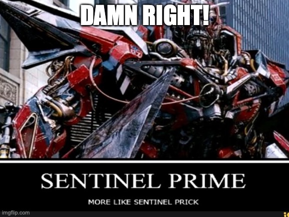 SENTINAL PRIME IS A PRICK! | DAMN RIGHT! | image tagged in transformers,prime | made w/ Imgflip meme maker