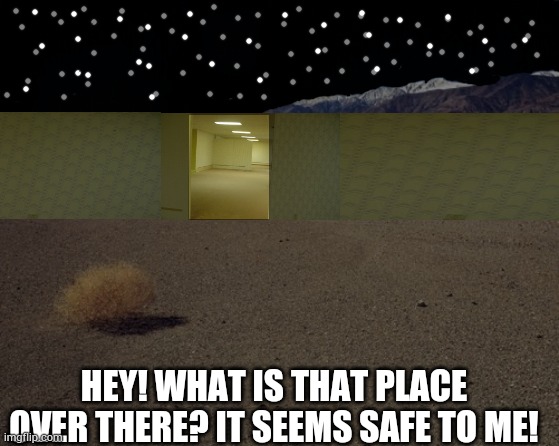 desert tumbleweed | HEY! WHAT IS THAT PLACE OVER THERE? IT SEEMS SAFE TO ME! | image tagged in desert tumbleweed | made w/ Imgflip meme maker