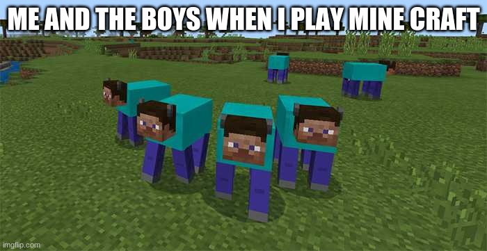 me and the boys | ME AND THE BOYS WHEN I PLAY MINE CRAFT | image tagged in me and the boys | made w/ Imgflip meme maker