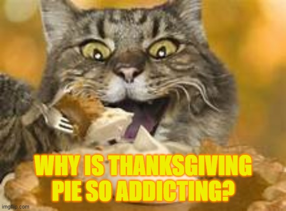 why is pie so addicting | WHY IS THANKSGIVING PIE SO ADDICTING? | image tagged in pie,cat,eating | made w/ Imgflip meme maker