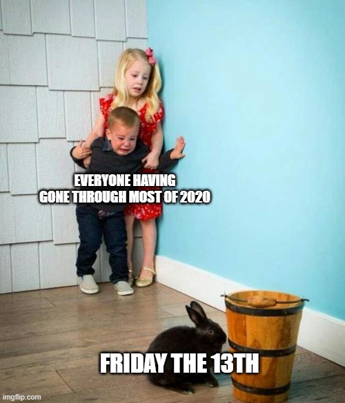 Friday the 13th, 2020 | EVERYONE HAVING GONE THROUGH MOST OF 2020; FRIDAY THE 13TH | image tagged in children scared of rabbit | made w/ Imgflip meme maker