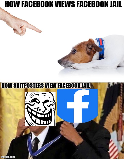 Facebook Jail Medal | HOW FACEBOOK VIEWS FACEBOOK JAIL; HOW SHITPOSTERS VIEW FACEBOOK JAIL | image tagged in obama medal,facebook,facebook jail,trolling,censorship | made w/ Imgflip meme maker