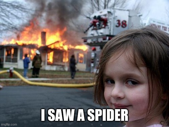 Disaster Girl | I SAW A SPIDER | image tagged in memes,disaster girl | made w/ Imgflip meme maker