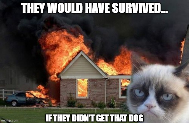 Burn Kitty | THEY WOULD HAVE SURVIVED... IF THEY DIDN'T GET THAT DOG | image tagged in memes,burn kitty,grumpy cat | made w/ Imgflip meme maker