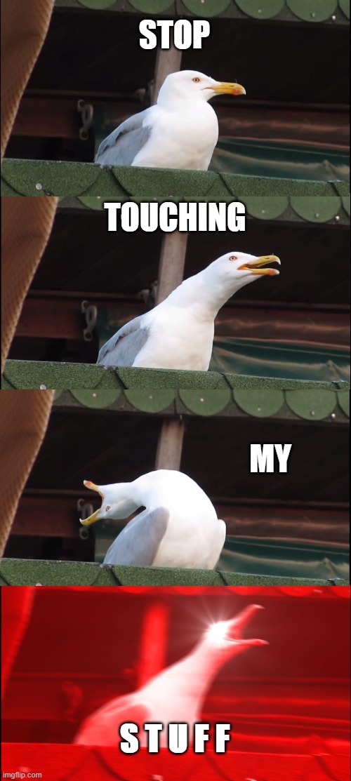 Inhaling Seagull Meme | STOP; TOUCHING; MY; S T U F F | image tagged in memes,inhaling seagull | made w/ Imgflip meme maker