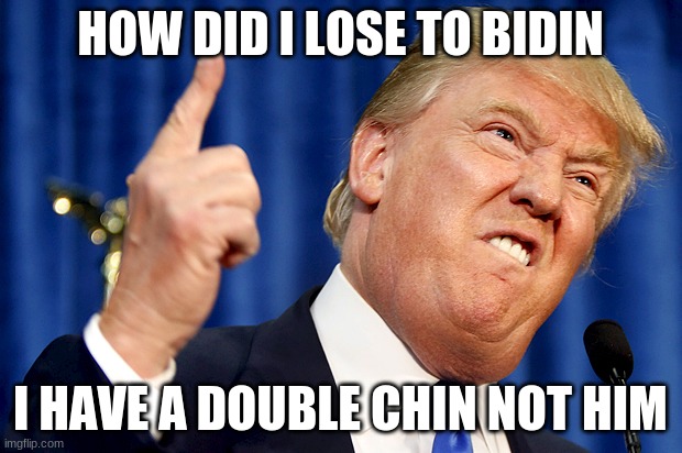 Donald Trump | HOW DID I LOSE TO BIDIN; I HAVE A DOUBLE CHIN NOT HIM | image tagged in donald trump | made w/ Imgflip meme maker