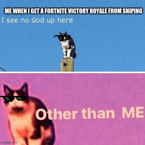 Hail pole cat | ME WHEN I GET A FORTNITE VICTORY ROYALE FROM SNIPING | image tagged in hail pole cat | made w/ Imgflip meme maker