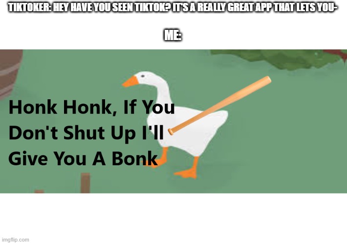 Honk Honk. (custom template) | TIKTOKER: HEY HAVE YOU SEEN TIKTOK? IT'S A REALLY GREAT APP THAT LETS YOU-; ME: | image tagged in honk honk if you don't shut up i'll give you a bonk | made w/ Imgflip meme maker