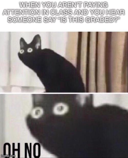 Oh no cat | WHEN YOU AREN’T PAYING ATTENTION IN CLASS AND YOU HEAR SOMEONE SAY “IS THIS GRADED?” | image tagged in oh no cat,memes | made w/ Imgflip meme maker