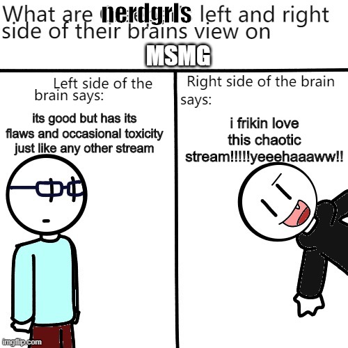 YEEAYYTT! | nerdgrls; MSMG; i frikin love this chaotic stream!!!!!yeeehaaaww!! its good but has its flaws and occasional toxicity just like any other stream | image tagged in creeper's brain,yeet,idk,lmao | made w/ Imgflip meme maker