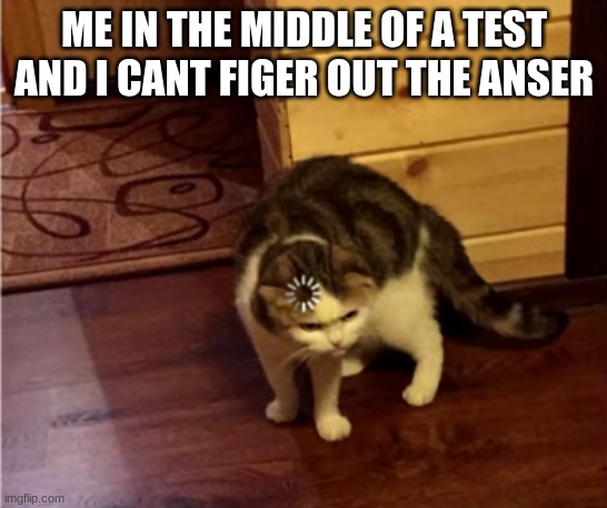 Loading Cat HD | ME IN THE MIDDLE OF A TEST AND I CANT FIGER OUT THE ANSER | image tagged in loading cat hd | made w/ Imgflip meme maker