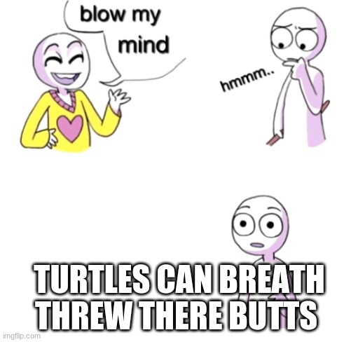 turtles | TURTLES CAN BREATH THREW THERE BUTTS | image tagged in blow my mind | made w/ Imgflip meme maker